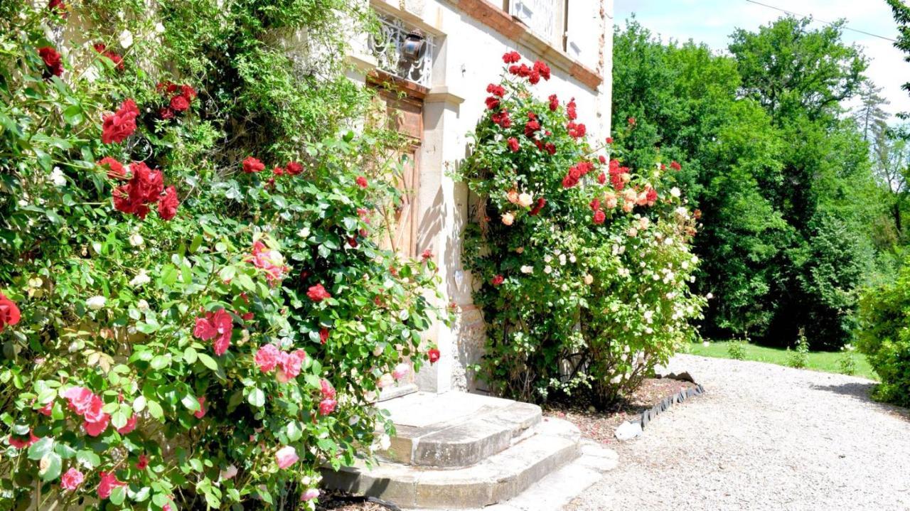 Chateau De Belespy La Bastide-de-Besplas 외부 사진